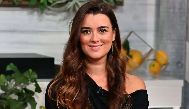 Cote de Pablo: An In-Depth Exploration 3